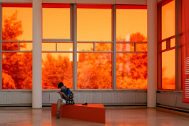 nicole bernard photography